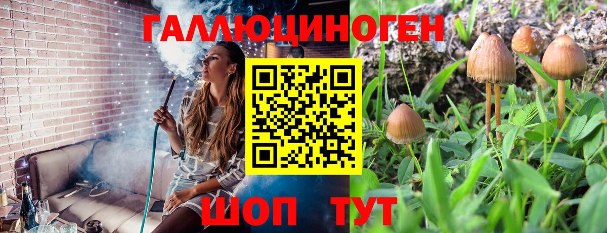 Энгельс  Псилоцибиновые грибы мухоморы  Вход с VPN  Галлюциногенные грибы MAGIC MUSHROOMS 
